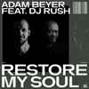 Adam Beyer Feat. DJ Rush - Restore My Soul