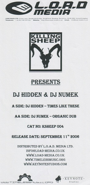 lataa albumi DJ Hidden DJ Numek - Times Like These Organic Dub