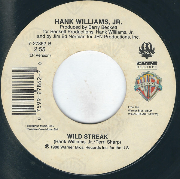 baixar álbum Hank Williams, Jr - If The South Woulda Won Wild Streak