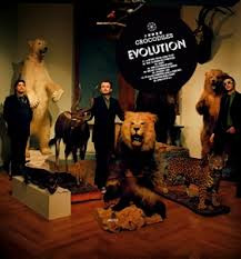 descargar álbum Crocodiles - Evolution