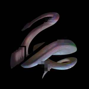Little Snake - MENTAL WEALTH album cover