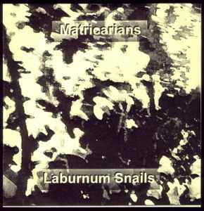Matricarians - Laburnum Snails album cover