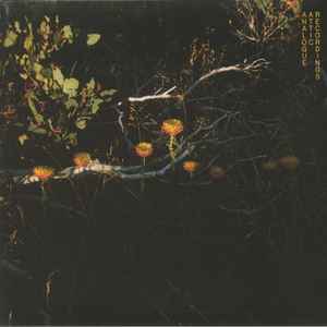 Alex Albrecht – Allambie (2024, Vinyl) - Discogs