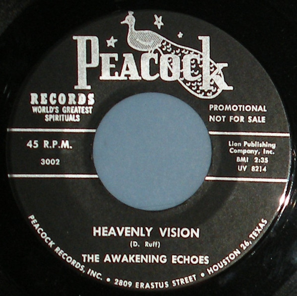 Album herunterladen The Awakening Echoes - Heavenly Vision In My Distress