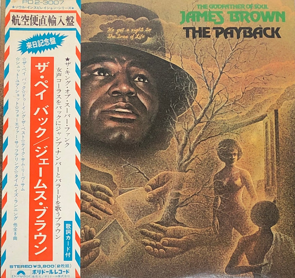 The Godfather Of Soul James Brown – The Payback (1973, Vinyl 