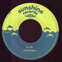 Little Tempo – 山と海 (2008, Vinyl) - Discogs