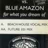 Bedrock Vs. Blue Amazon - For What You Dream Of