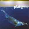 Gerard Presencer - Platypus