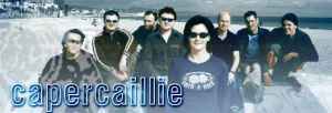 Capercaillie on Discogs