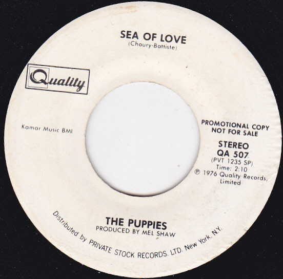 ladda ner album Download The Puppies - Sea Of Love album