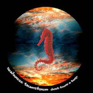 Seahorse Transform - Dust From A Trip album cover