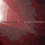 Cover of A Lost Connection, , CDr