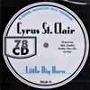 Cyrus St. Clair - Little Big Horn (20 Tunes From Okeh, Columbia, Vocalion, Victor, QRS, Van Dyke)