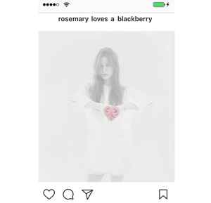 rosemary loves a blackberry - ❤️ album cover
