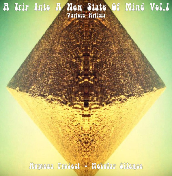 last ned album Various - A Trip Into A New State Of Mind Vol1