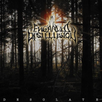 baixar álbum Engraved Disillusion - Desolate