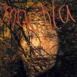 Limpe Fuchs - Macchia Forest album cover