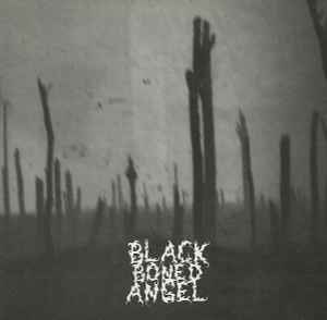 Black Boned Angel - Verdun album cover