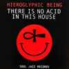 Hieroglyphic Being - There Is No Acid In This House