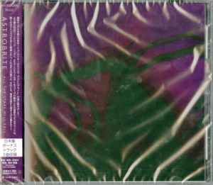 Fleeting Joys – Despondent Transponder (2010, CD) - Discogs