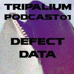 Pochette de l'album Defect Data - Tripalium Podcast01