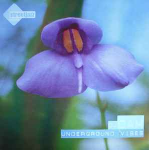 DJ Cam – Underground Vibes (1995, Vinyl) - Discogs