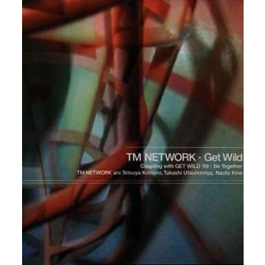 TM Network – Get Wild (1987, Vinyl) - Discogs