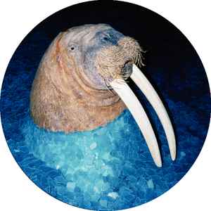 The Walrus EP - Tross