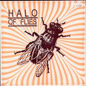No Time - Halo Of Flies