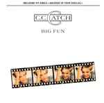 Cover of Big Fun, 1988, CD