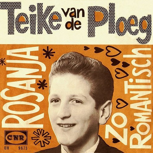 last ned album Teike van de Ploeg - Rosanja