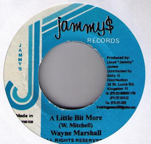 télécharger l'album Wayne Marshall - A Little Bit More