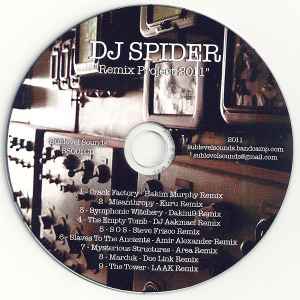 DJ Spider (6) - Remix Project 2011 album cover