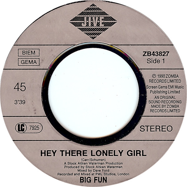 ladda ner album Big Fun - Hey There Lonely Girl