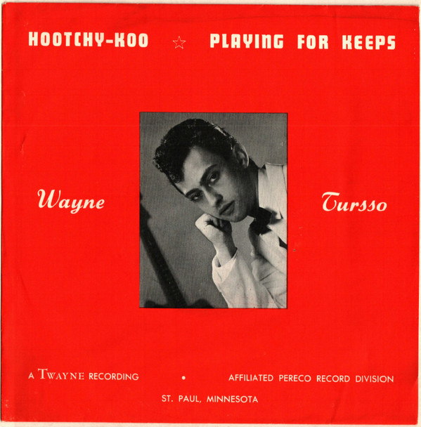 descargar álbum Wayne Tursso And Tims Galaxies Orch - Hoochy Koo Playing For Keeps
