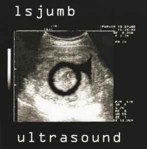 Gray Ultrasound Photo Album