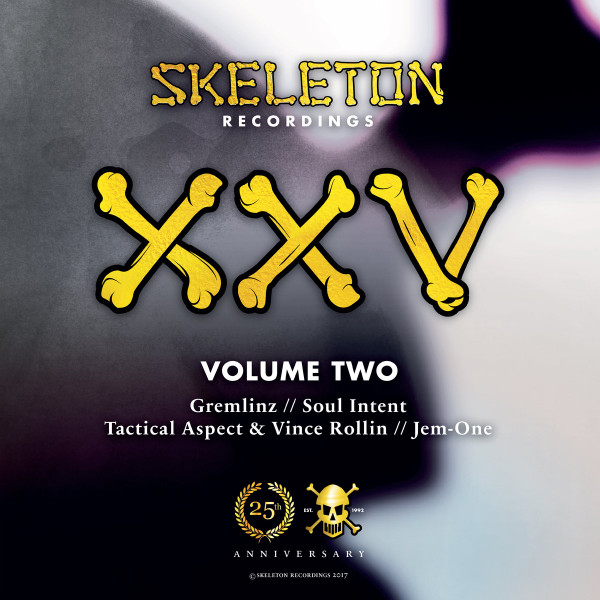 télécharger l'album Various - XXV Volume Two