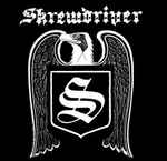 lataa albumi Skrewdriver - When The Storm Breaks