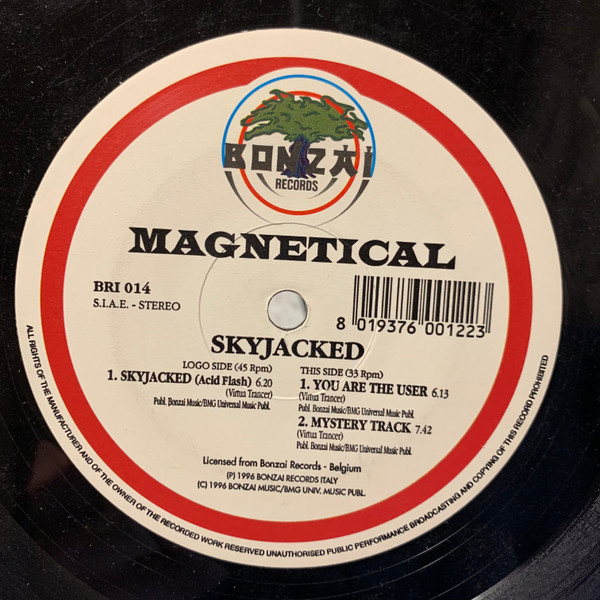 descargar álbum Magnetical - Skyjacked