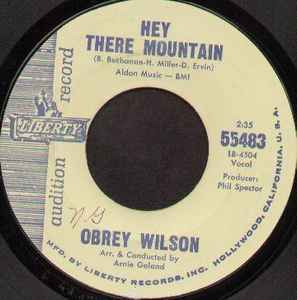 Obrey Wilson - Hey There Mountain / Say It Again album cover