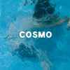 Cosmo (31) - Cosmo