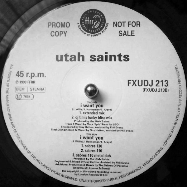 ladda ner album Utah Saints - I Want You