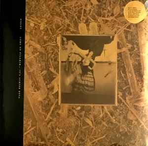 Pixies - Come On Pilgrim... It's Surfer Rosa album cover
