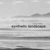 Polynoiz - Synthetic Landscape