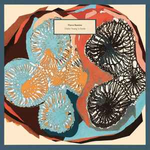 Kilchhofer, Anklin – Moto Perpetuo (2019, 180 g, Vinyl) - Discogs