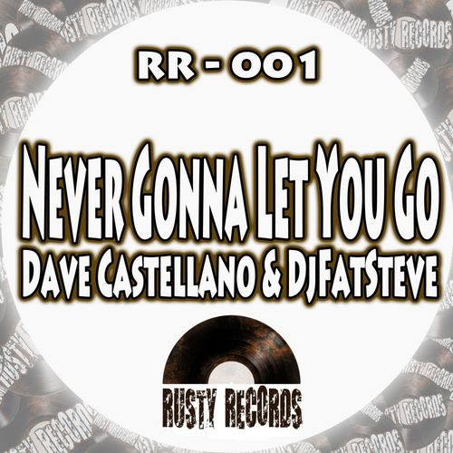Album herunterladen Dave Castellano & DJ Fat Steve - Never Gonna Let You Go