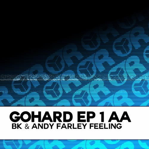 ladda ner album BK & Andy Farley - GoHard EP 1 AA Feeling