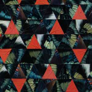 Kris Davis - Diatom Ribbons Live At The Village Vanguard album cover