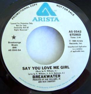 last ned album Breakwater - Say You Love Me Girl