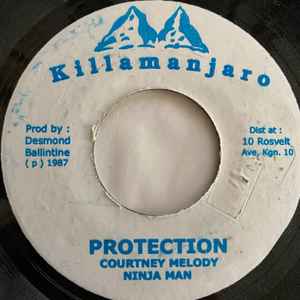 Ninja Man & Courtney Melody - Protection | Releases | Discogs